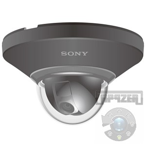 SONY SNC-DH110T